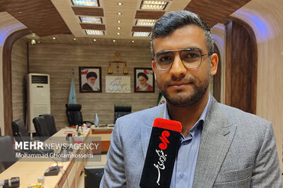 کاهش ۲۵ درصدی مسمومیت با گاز مونوکسیدکربن در بوشهر | آخرین خبر