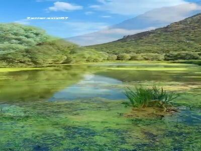  کردستان سرزمین زیبایی‌ها  | آخرین خبر
