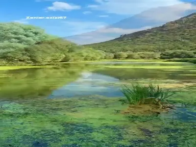  کردستان سرزمین زیبایی‌ها  | آخرین خبر
