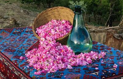 چگونه گلاب اصل و باکیفیت را تشخیص دهیم؟ | آخرین خبر