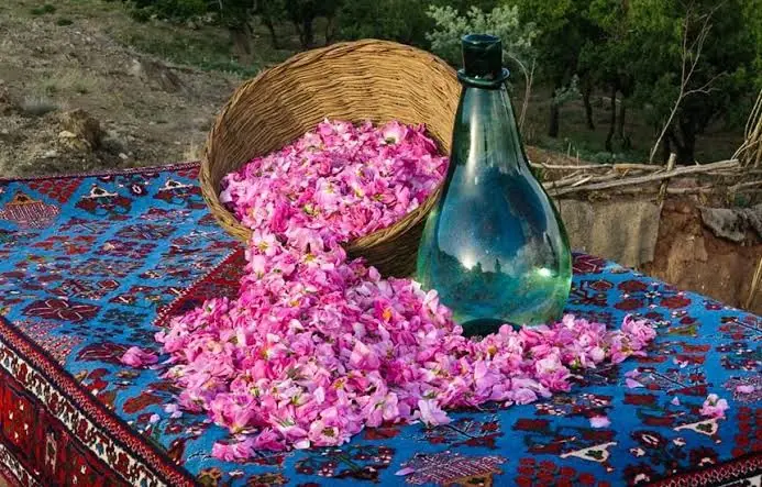  چگونه گلاب اصل و باکیفیت را تشخیص دهیم؟ | آخرین خبر