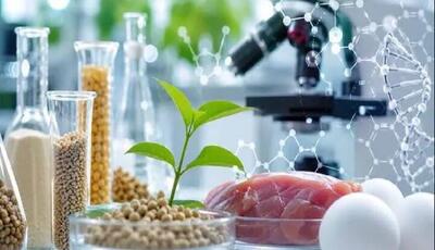 سویههای بومی، سرمایه پنهان زیستفناوری ایران در تولید محصولات پروبیوتیک | آخرین خبر