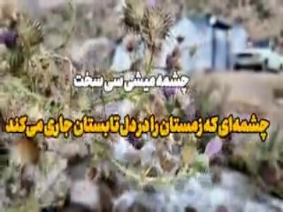  خنکای «چشمه‌ میشی» سی‌سخت در تابستان داغ | آخرین خبر