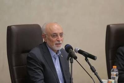  علی اکبر صالحی: از دیوار بی‌اعتمادی ایران و آمریکا عبور نمی‌شود، مگر با بسیج کردن عقل، هوشمندی و حکمت سیاسی