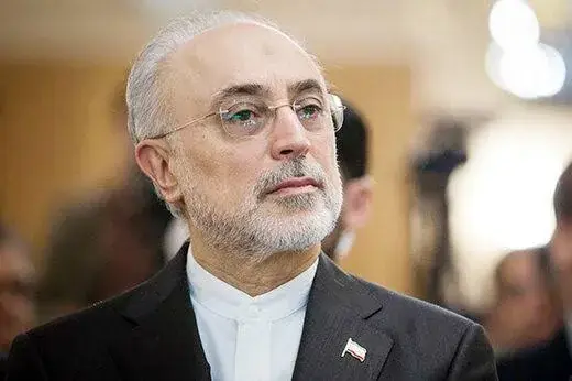  علی‌اکبر صالحی: دیوار بی‌اعتمادی میان ایران و آمریکا بسیار بلند است