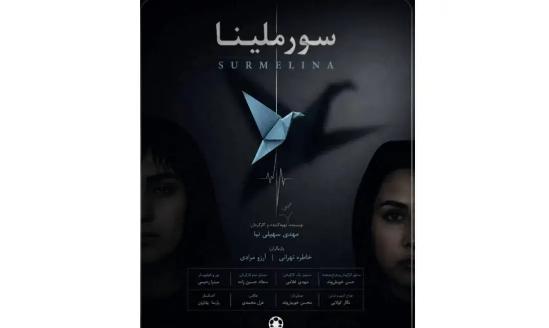  فیلم کوتاه «سورملینا» آماده نمایش شد