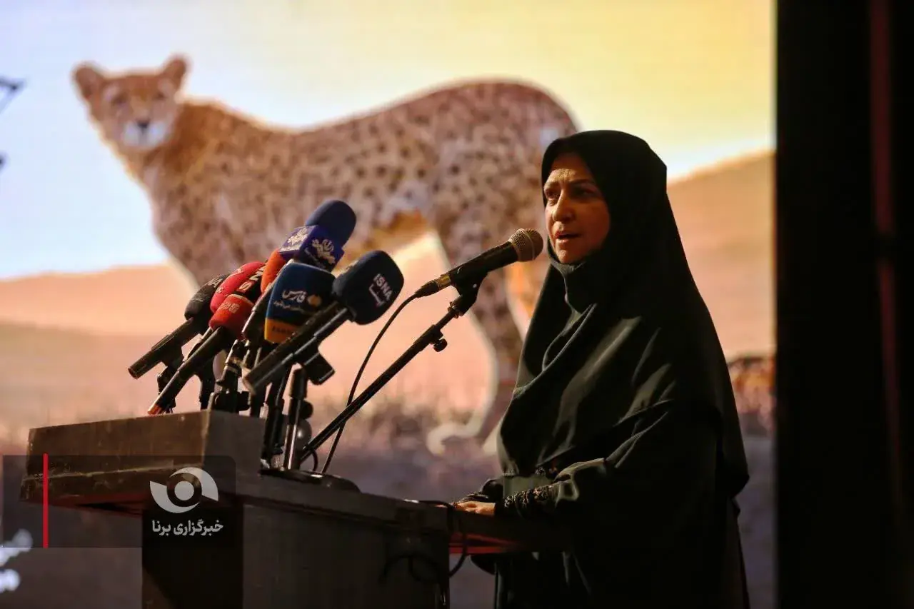  شینا انصاری: حفاظت از یوزپلنگ آسیایی باید به یک نظام پایدار و فرادولتی تبدیل شود