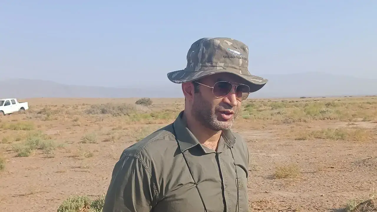  نظامی بلوچی: نباید شکست‌های تکثیر یوز مردم را ناامید کند/هلیا مادری موفق است