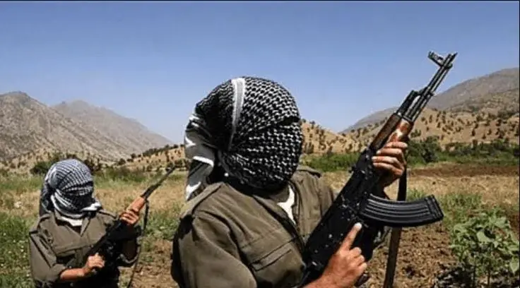 ارگان رسانه ای نزدیک به سپاه : عناصر پژاک به اهالی یک روستا در مریوان کردستان حمله مسلحانه کردند