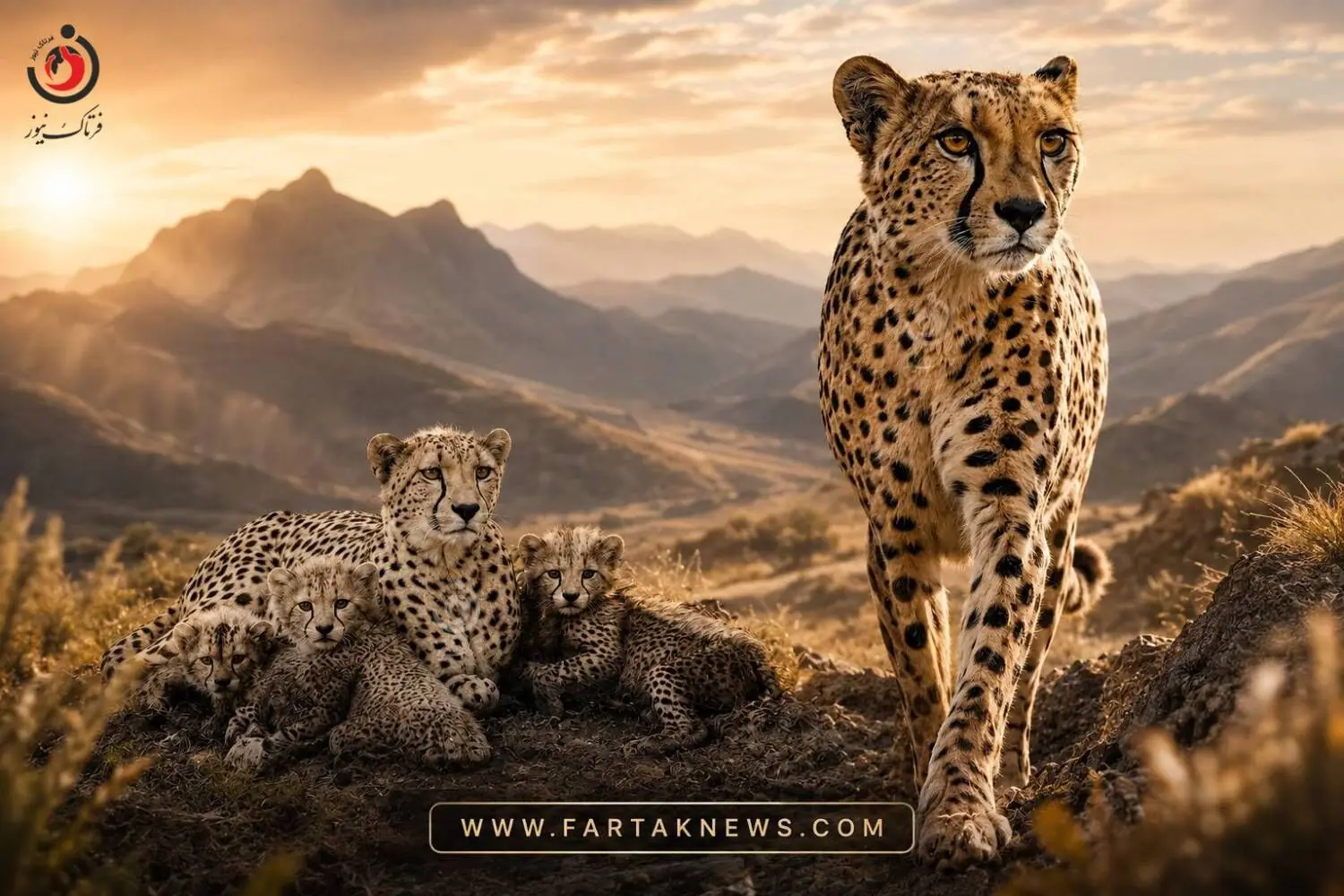 ۹ شهریور؛ روز ملی یوزپلنگ ایرانی و یادآوری یک زخم قدیمی
