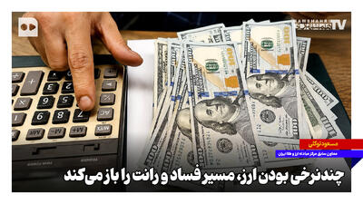  چندنرخی بودن ارز، مسیر فساد و رانت را باز می‌کند