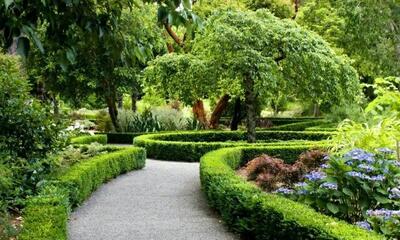  سرانه فضای سبز تهران از ۱۵ متر مربع عبور کرد