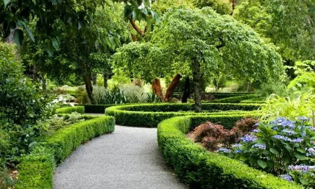  سرانه فضای سبز تهران از ۱۵ متر مربع عبور کرد