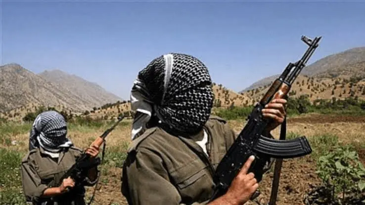 جزئیات حمله پژاک به اهالی روستایی در مریوان
