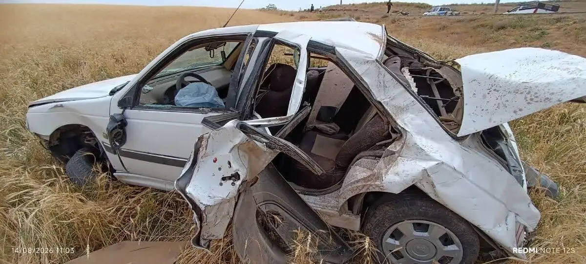 تلف شدن ۸ رأس دام در تصادف پژو با گله گوسفندان