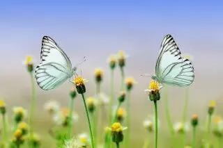  بعد از عاشق شدن چه اتفاقی می‌افتد؟ ۵ مسیری که یک رابطه می‌تواند طی کند