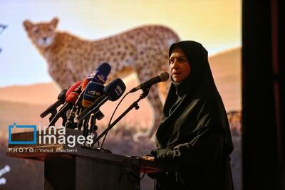 رییس سازمان محیط زیست: همه ظرفیتها باید برای حفاظت از یوز به میدان بیایند