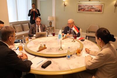 قاهره: شانگهای نقشی مهم در پیشبرد چندجانبهگرایی دارد