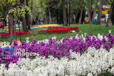 شهردار: معرفی ظرفیتها هدف جشنواره سهروزه گلهای ارومیه است