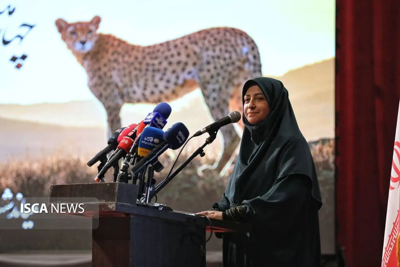 حفاظت از یوز آسیایی نباید با تغییر دولتها متوقف شود