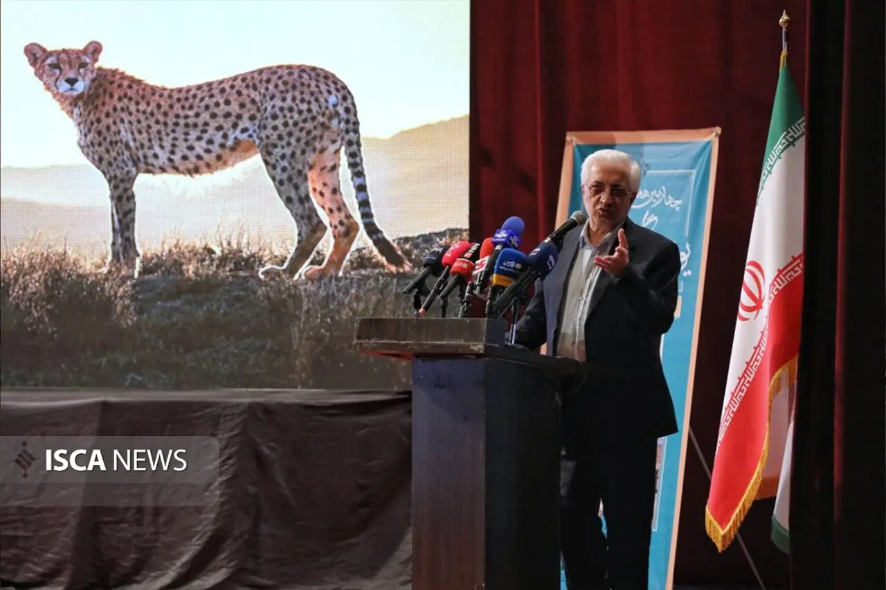 خراسانشمالی باید به مأمنی امن برای یوز آسیایی تبدیل شود