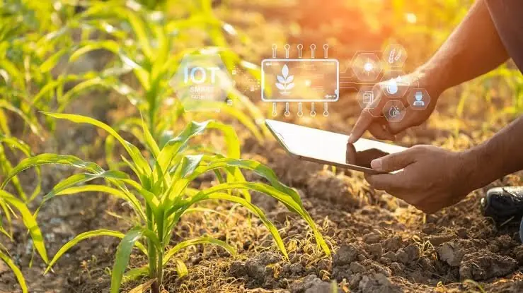 ضرورت اصلاح ساختار بازار برای گذار کشاورزی ایران از بازاری سنتی به بازار دیجیتال