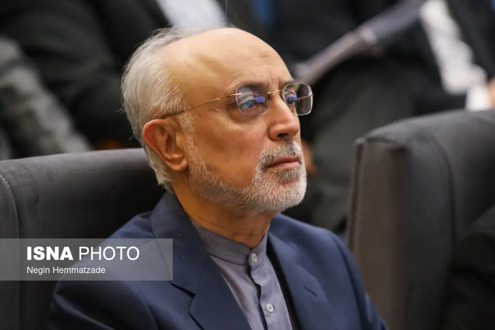 صالحی: درباره مسایل اصلی کشور باید با دانش، نگاه ژرف و تاریخی سخن گفت
