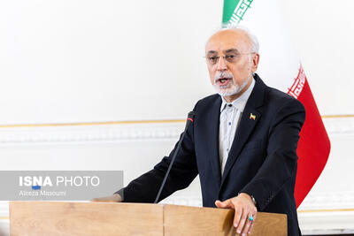 علی اکبر صالحی: «الموت» نماد تلاقی جغرافیای اندیشه، مقاومت و فرهنگ است
