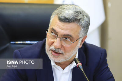  اهمیت تاب‌آوری نظام سلامت در بحران‌ها / تاکید بر حمایت از سرمایه انسانی نظام سلامت