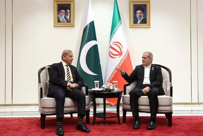 صلح و امنیت جز با همکاری کشورها محقق نخواهد شد
