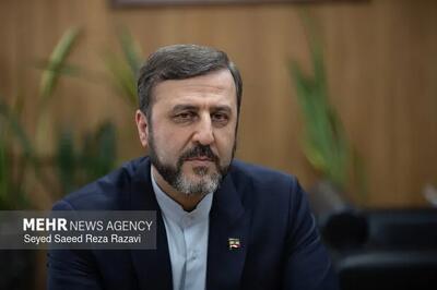 غریب آبادی: پای بیگانگان باید از منطقه قطع شود