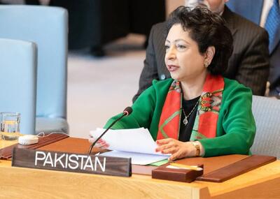 دیپلمات سابق پاکستان: جنگ اقتصادی ترامپ علیه ایران هم شکست میخورد