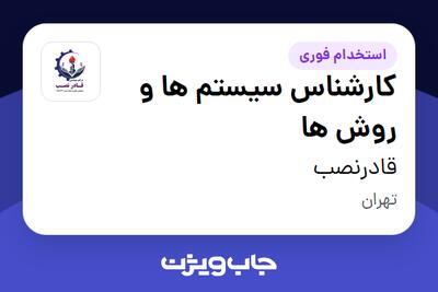 استخدام کارشناس سیستم ها و روش ها در قادرنصب