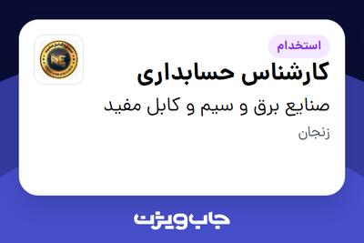  استخدام کارشناس حسابداری - خانم در صنایع برق و سیم و کابل مفید