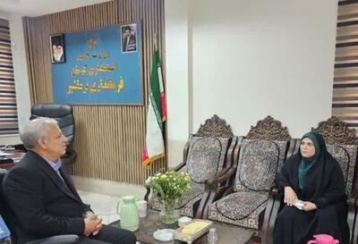 مرور دستاوردهای دامپزشکی نرماشیر در هفته دولت/ تأکید بر خدمترسانی شفاف و تعامل با مردم