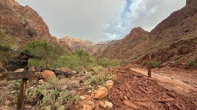  ببینید | مفقود شدن ۱۵ نفر در سیلاب مرگبار در گرند کنیون آمریکا