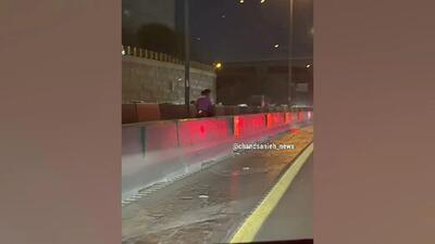  ببینید | لحظه تلخ سرقت تلفن همراه یک شهروند تهرانی در بزرگراه امام علی (ع)
