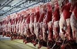  قیمت انواع گوشت گوساله و گوسفندی داخلی اعلام شد
