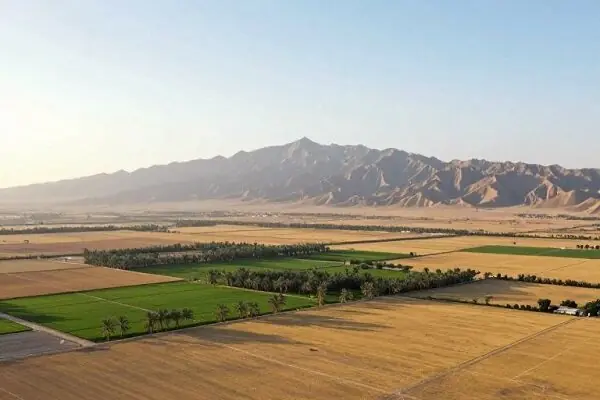 آزادسازی اراضی ملی در بوشهر؛ ۳۲ پرونده تشکیل شد