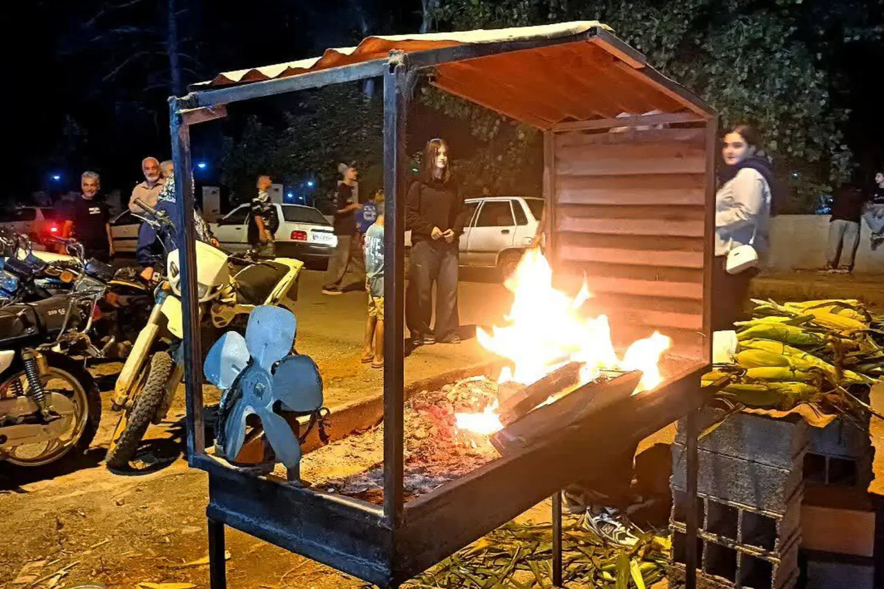  جای خالی شیر بلال در جشنواره ملی سیمرغ