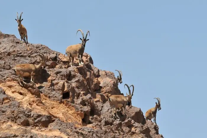 نظارت زیستمحیطی یزد
