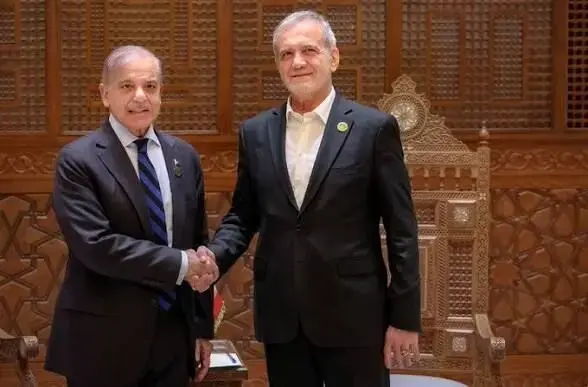 شهباز شریف پس از دیدار با پزشکیان: در کنار هم برای صلح منطقه کار خواهیم کرد