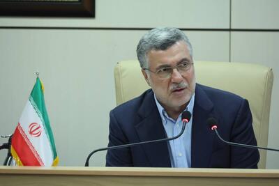 وزیر بهداشت: «بهورزان» خط مقدم نظام سلامت کشور هستند