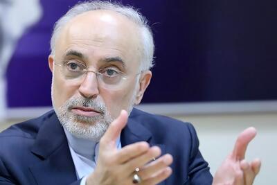 علی اکبر صالحی: درباره مسایل اصلی کشور باید با دانش، نگاه ژرف و تاریخی سخن گفت