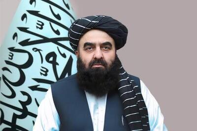 روزنامه فایننشال تایمز از پیشنهاد یک تریلیون دلاری طالبان به دولت ترامپ پرده برداشت