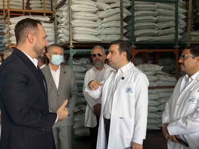 سفر مدیرعامل بانک توسعه تعاون به فارس؛ تأکید بر تأمین مالی زنجیرههای ارزش و توسعه اقتصادی