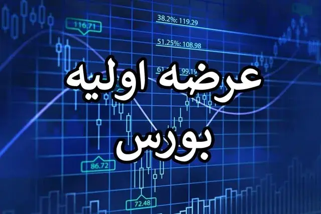  بزرگترین عرضه اولیه تاریخ بورس امروز انجام می‌شود