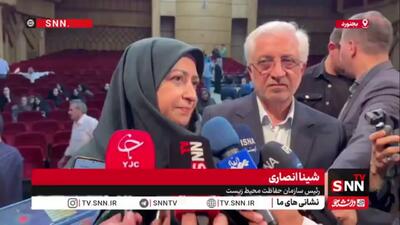 شینا انصاری: بودجه اختصاص یافته به وزارت راه حتما باید در جهت فنسکشی و ایمنسازی جاده باشد؛ پیگیری میکنیم/ در مجموع ۲۰ کیلومتر فنسکشی شده است