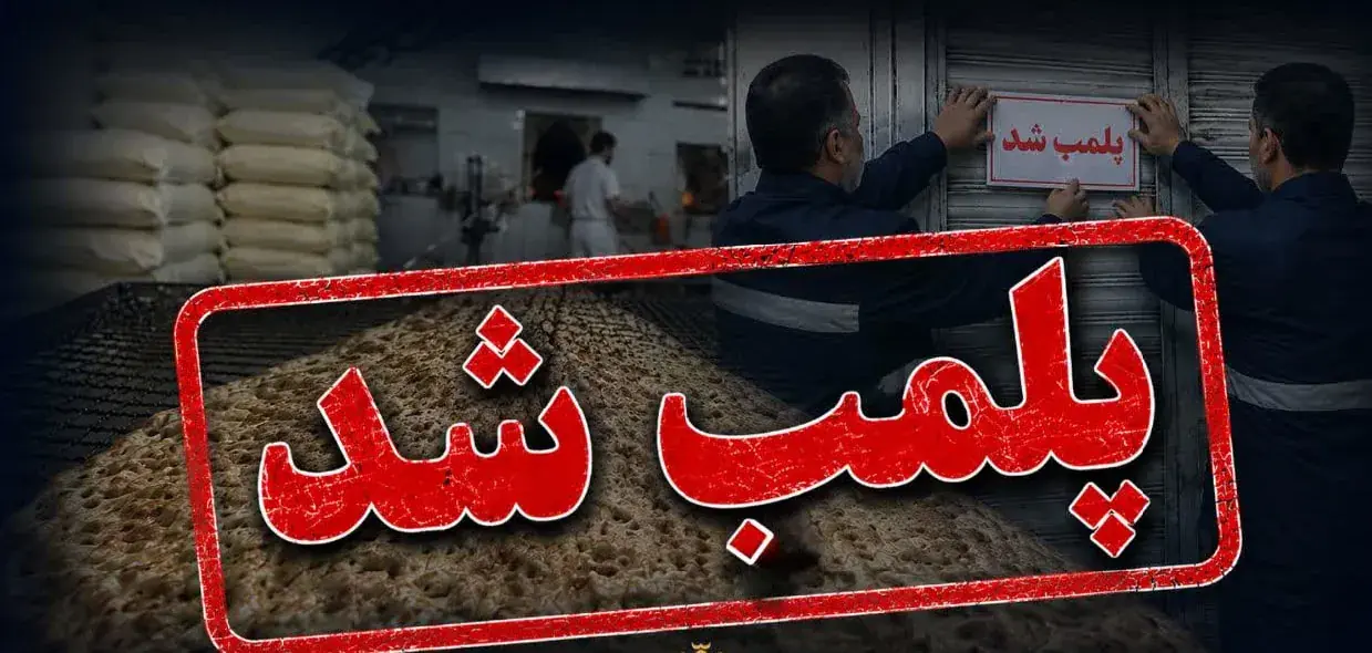 جریمه ۵۵۴ میلیون تومانی و پلمب ۱۰ روزه مشاور املاک متخلف در یاسوج