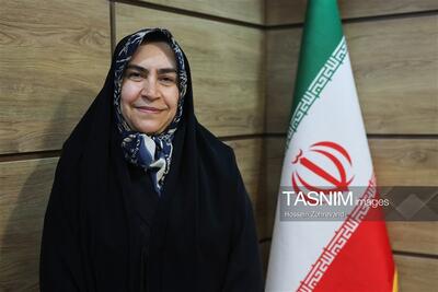  مقصودی: قانون مقابله با نفوذ بیگانگان، سدی دربرابر پروژه‌های نفوذ است - تسنیم